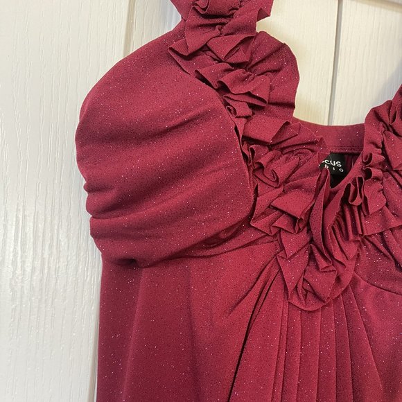 NEW With Tags Shimmery Enfocus Dress - Picture 2 of 3